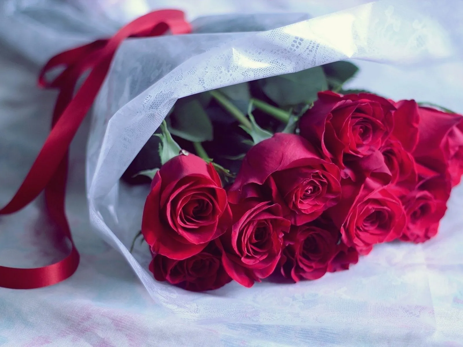 Fotos de ramo de rosas rojas ~ Mejores Fotos del Mundo ... Fotos de ramo de rosas rojas ~ Mejores Fotos del Mundo ...