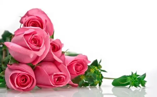 Fotos de rosas y arreglos florales para el 10 de Mayo | Banco de ...