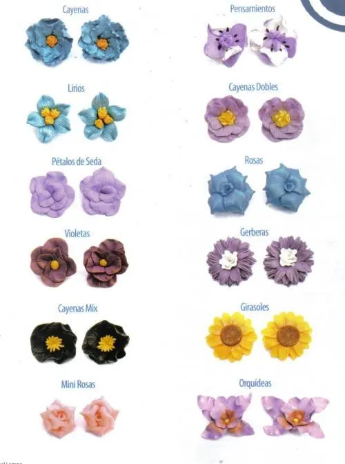 Clases de flores - Imagui