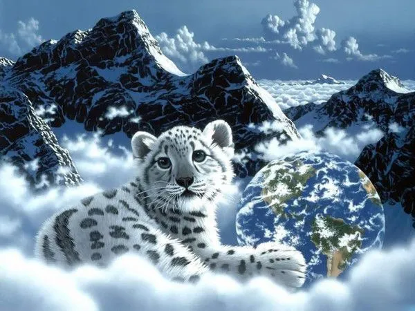 Imagenes de tigres en 3D con movimiento - Imagui Imagenes de tigres en 3D con movimiento - Imagui