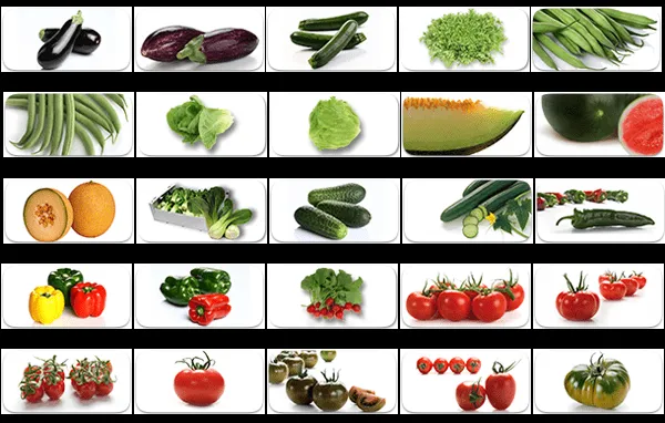 Nombres de frutas y verduras - Imagui