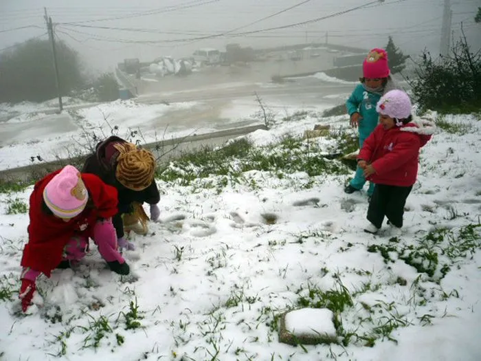 Fotos y Vídeo: La nieve tiñe de blanco Palestina