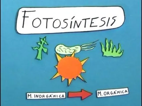 Qué es la fotosíntesis? Sencilla explicación para entender este ...