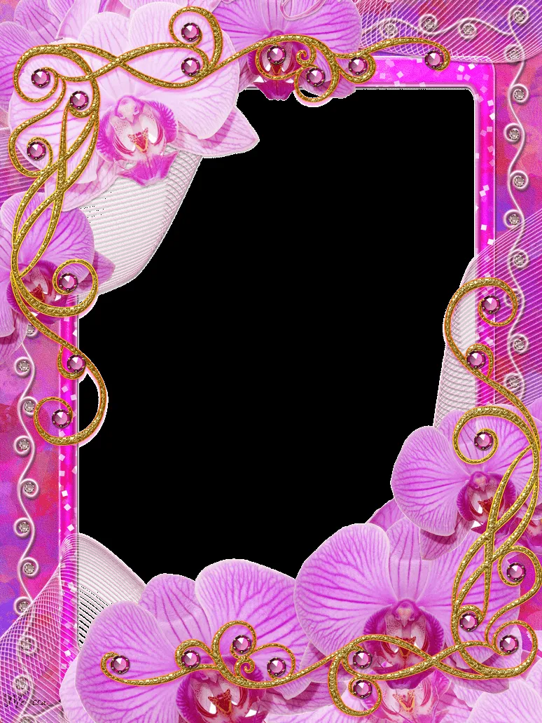 frame Charm of Orchids PNG by Melissa-tm on DeviantArt