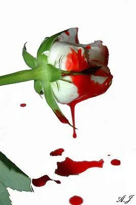 FRANCISCO ALCAIDE HERNÁNDEZ: Rosas y espinas FRANCISCO ALCAIDE HERNÁNDEZ: Rosas y espinas