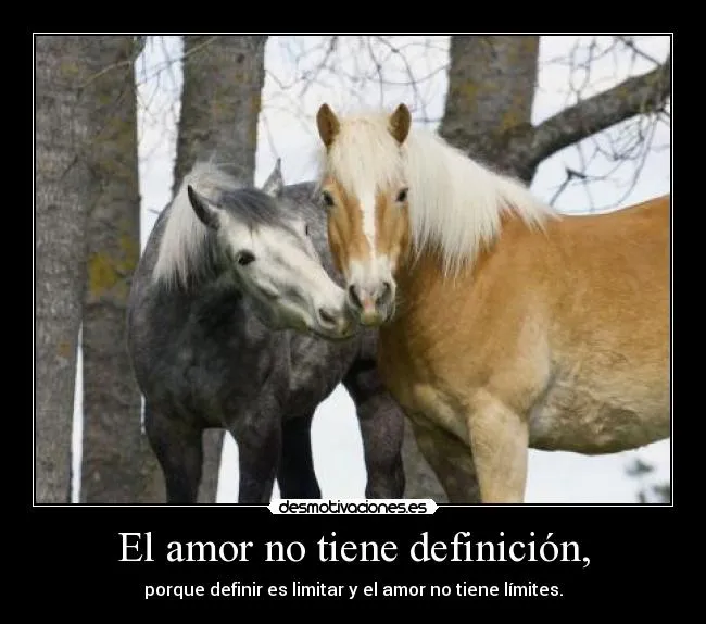 Amor por los caballos frases - Imagui