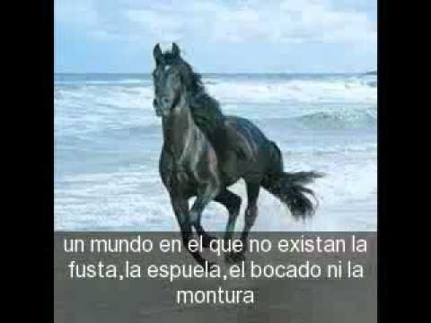 Frases bonitas de caballos - Mi querido amigo cab…: http://youtu ...