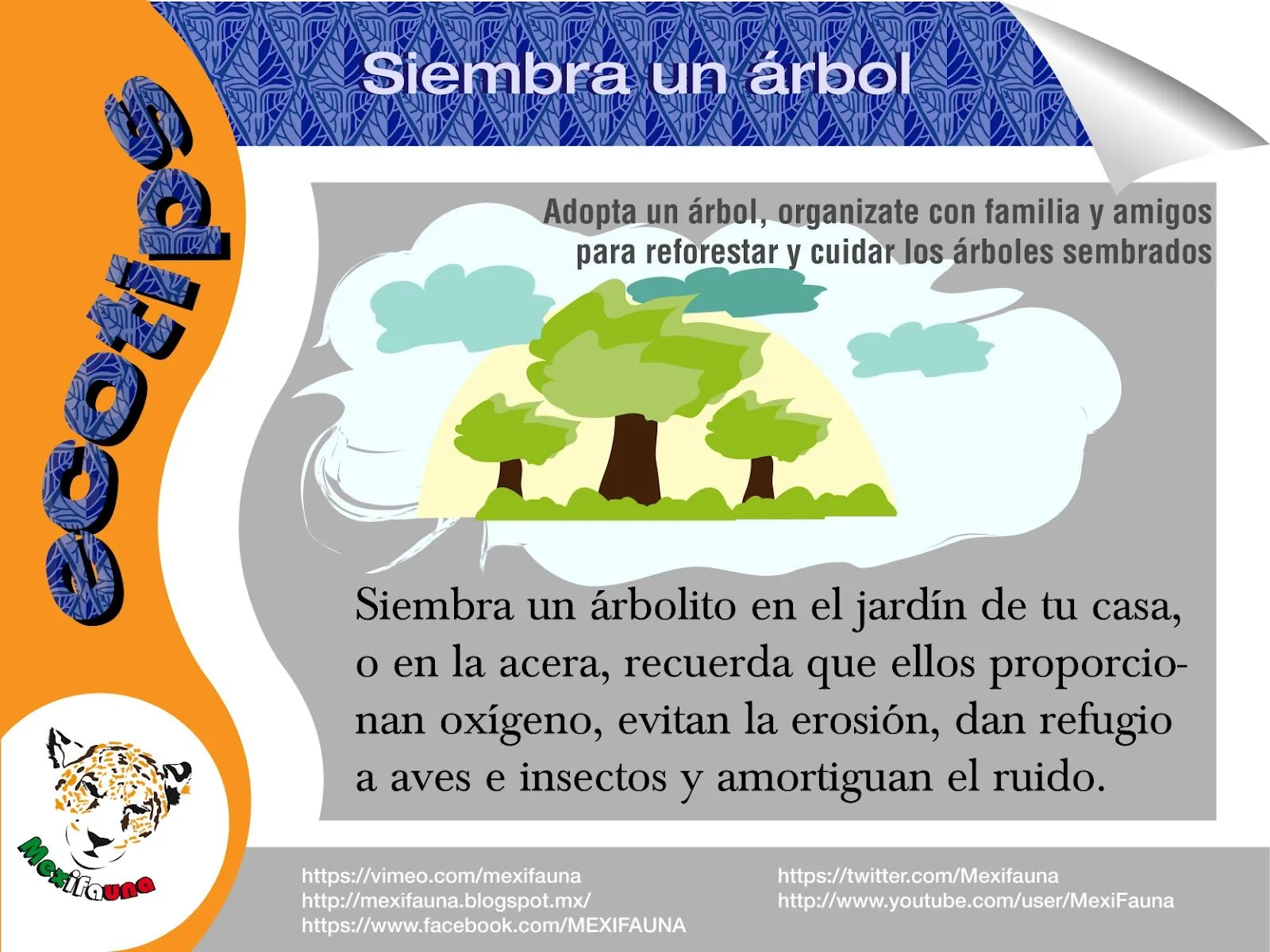 Frases ecologicas para cuidar el medio ambiente para niños - Imagui Frases ecologicas para cuidar el medio ambiente para niños - Imagui