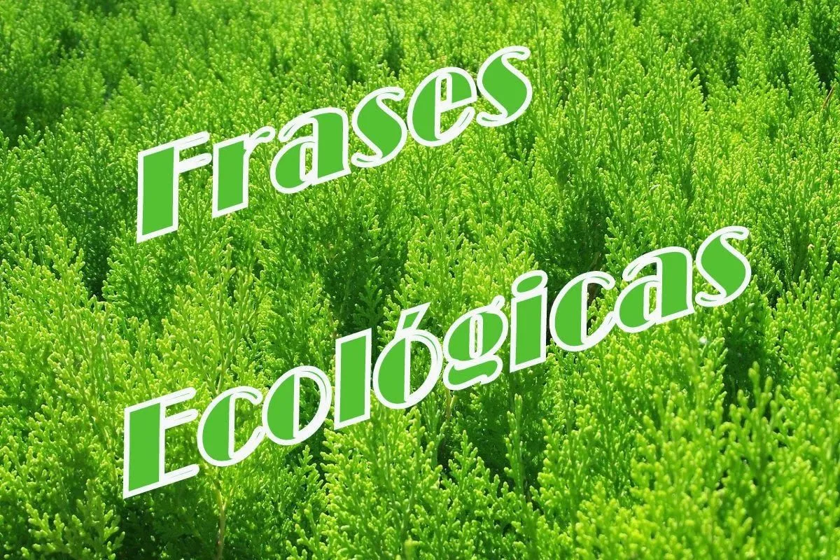 Frases ecológicas para reflexionar 2014 - Clima, Medio Ambiente y ... Frases ecológicas para reflexionar 2014 - Clima, Medio Ambiente y ...