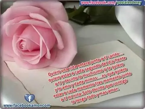 Frases con flores de rosas para amor - YouTube