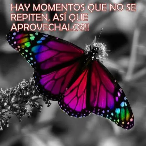FRASES DE MOTIVACION, SUPERACION, AMOR Y MAS♥♥: FRASES CON MARIPOSAS FRASES DE MOTIVACION, SUPERACION, AMOR Y MAS♥♥: FRASES CON MARIPOSAS