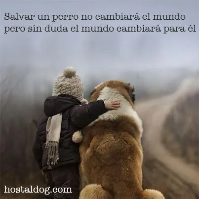 Frases perros on Pinterest | Frases, Amor and Domingo