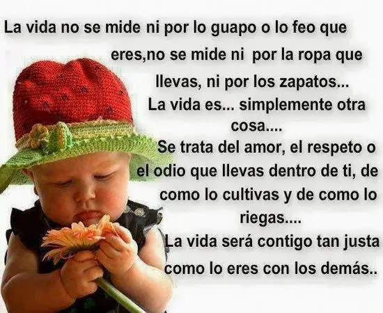 Frases de reflexion de la vida | Frases de felicidad