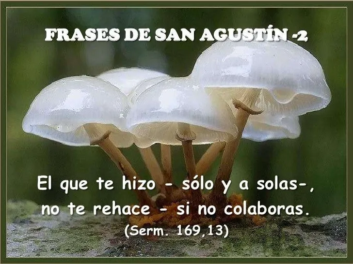 Frases de San Agustín - 2