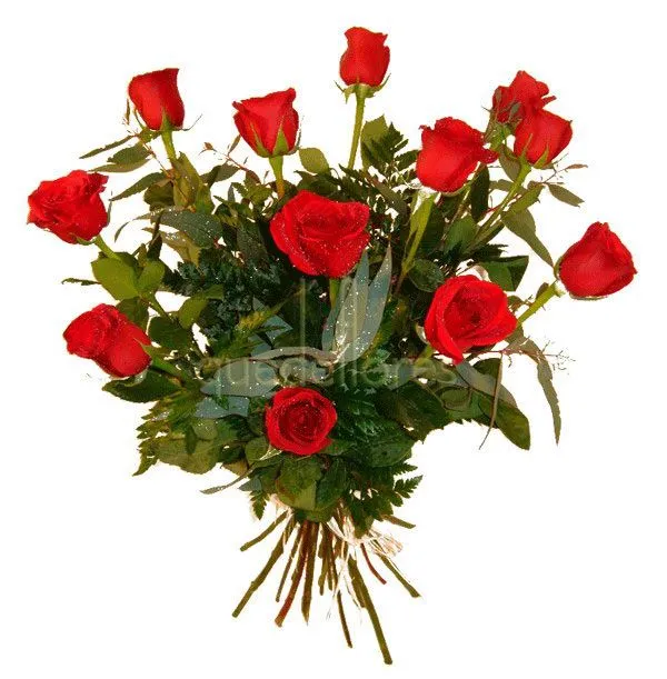 Ramo clasico de rosas rojas. - quedeflores.com - Flores todo el año