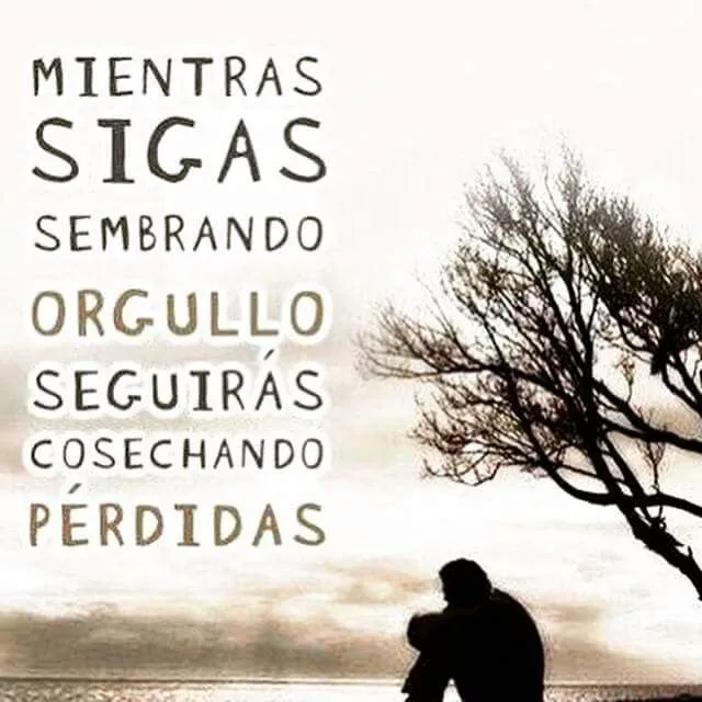 Frases Unicas on Pinterest | Frases, Hay and Amor