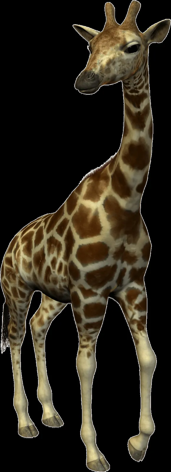 Free High Resolution graphics and clip art: animal png Free High Resolution graphics and clip art: animal png