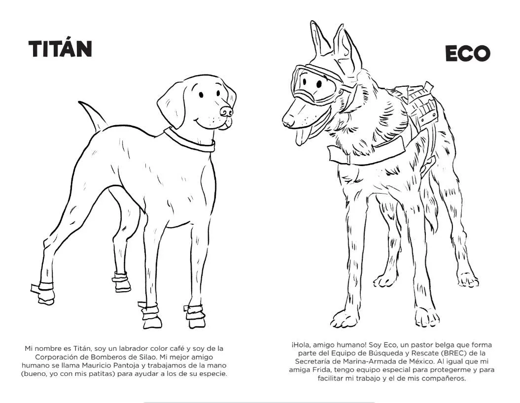 Frida y otros perros rescatistas, en libro infantil libre para colorear |  Paredro