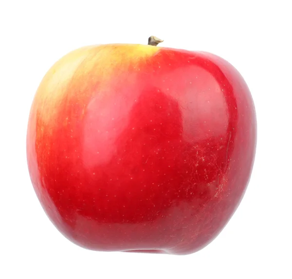 Fruit aple — Stock Photo © nikolasvn #1409436