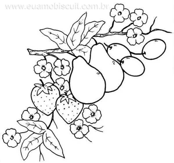 Dibujos para bordar a mano frutas - Imagui