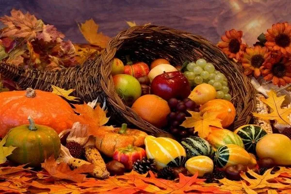 Frutas, calabazas y frutos secos de temporada de otoño (42205)