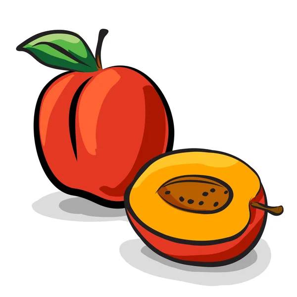 Frutas durazno croquis dibujo vector conjunto — Foto stock ...