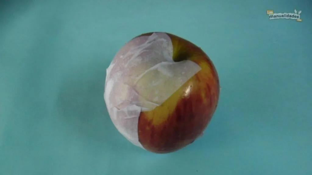 Cómo hacer frutas de papel reciclado | Estilo de Vida Hogar | Univision
