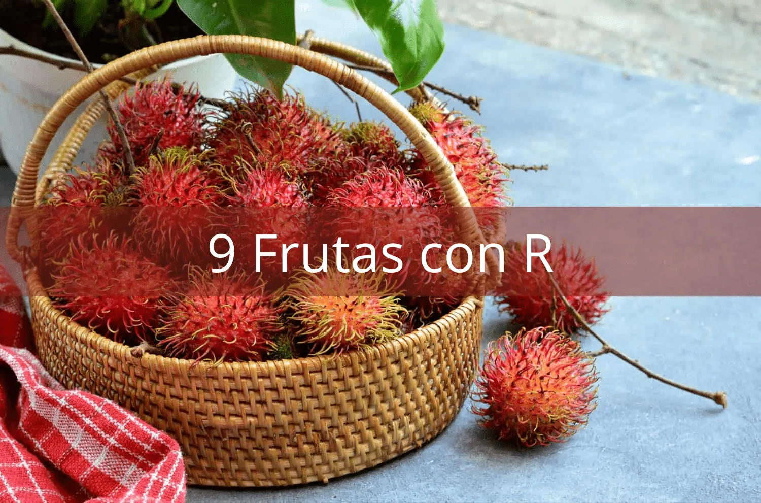 9 Frutas con R • Procrastina Fácil