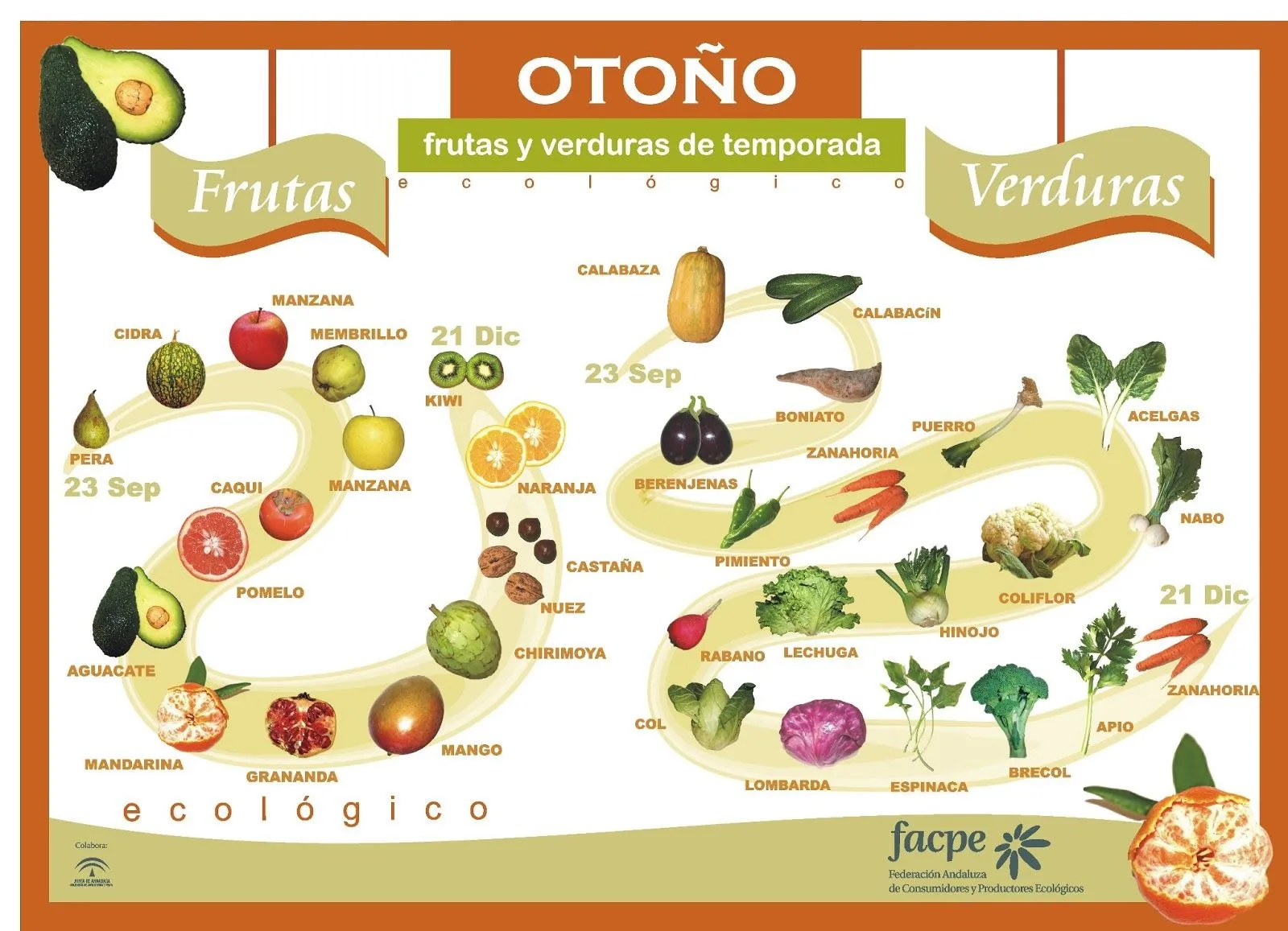 Frutas y verduras de otoño | Virtual Spanish Classroom