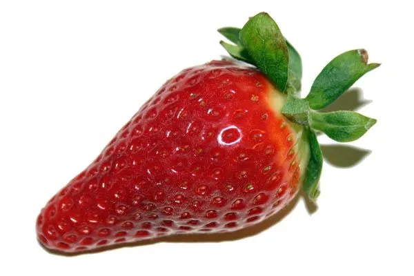 Frutilla — Comprar Frutilla, Precio de , Fotos de Frutilla, de ... Frutilla — Comprar Frutilla, Precio de , Fotos de Frutilla, de ...