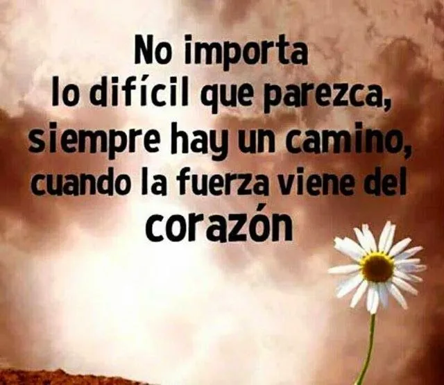 Cuando la fuerza viene del corazón. | Frases Cuando la fuerza viene del corazón. | Frases
