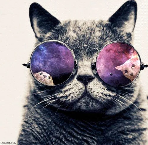 Galaxy hipster cat from tumblr | Inspiring | Pinterest | Hipster ...