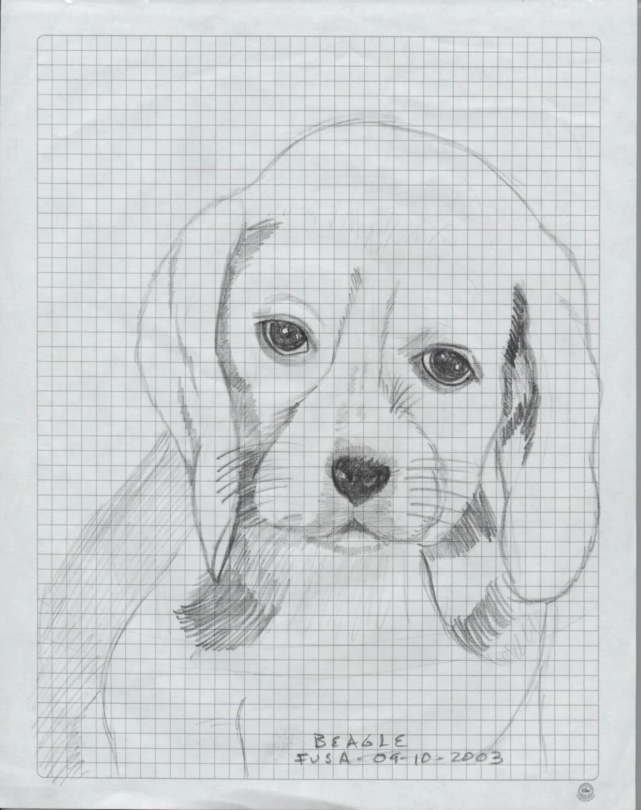Dibujos a lapiz de perros cachorros - Imagui