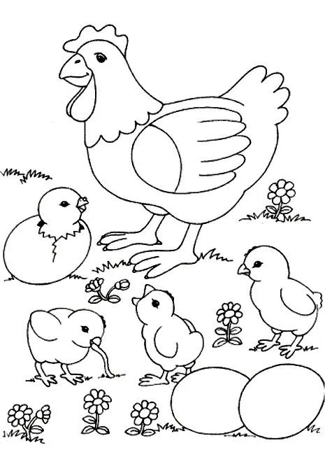 Índice de dibujos: gallinas