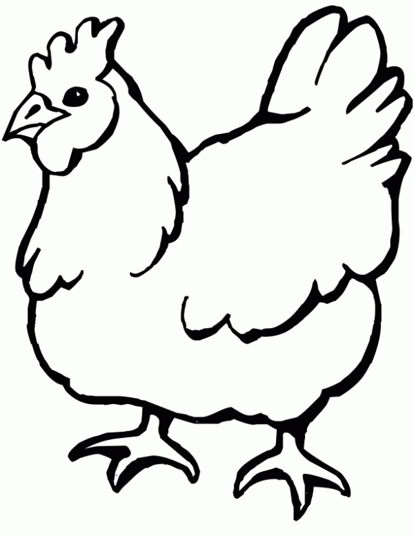 Dibujos para colorear de gallinas - Imagui