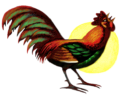 Caricatura de gallos - Imagui