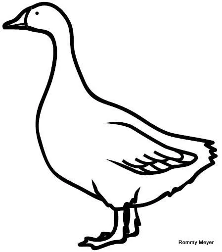 Dibujos de ganso - Imagui