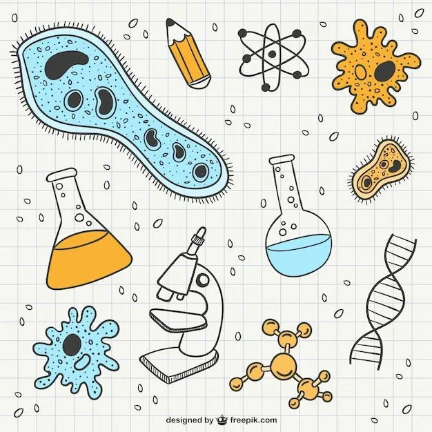 Garabatos de ciencia y biología | Descargar Vectores gratis
