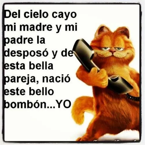 Garfield frases en español - Imagui