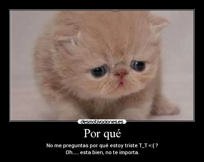 Gatito triste llorando - Imagui