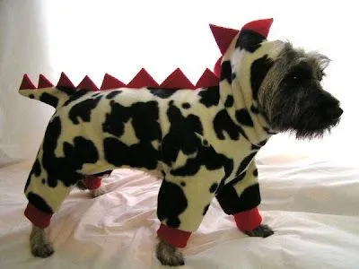 Gatitos chistosos: Disfraz para perros