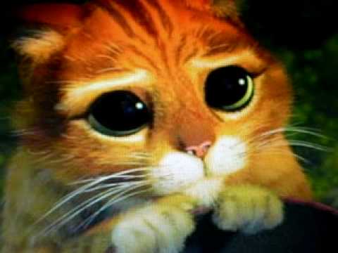 El Gato Con Botas Esta Triste - YouTube