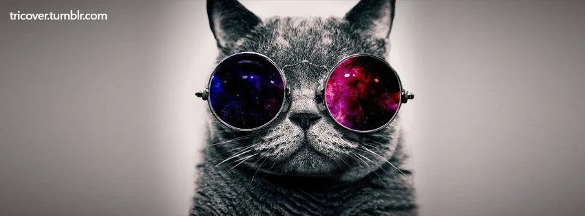 Gato hipster | Portadas facebook