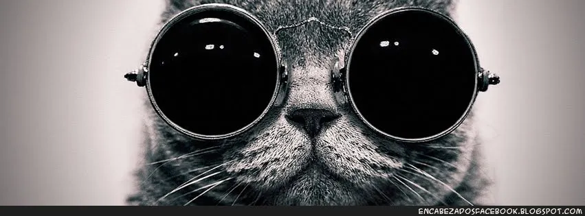 Gato hipster y vintage - Encabezados FB