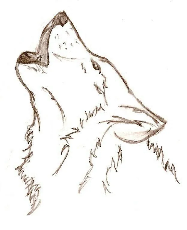 gato y luna dibujo a lapiz - Cerca amb Google | Dibujos para hacer ... gato y luna dibujo a lapiz - Cerca amb Google | Dibujos para hacer ...