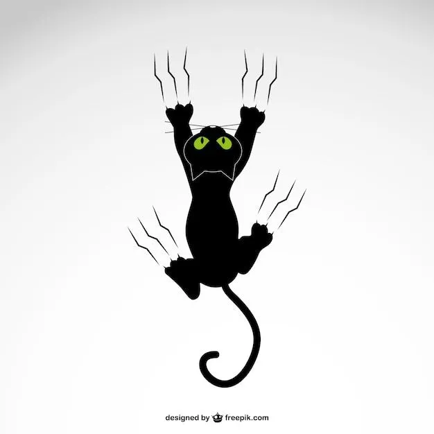 Gato negro arañando | Descargar Vectores gratis