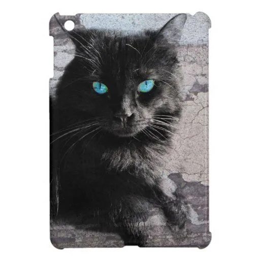 Gato negro de ojos azules, mini cubierta del iPad | Zazzle