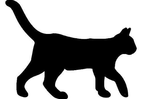 gato negro silueta - Orientación Andújar - Recursos Educativos