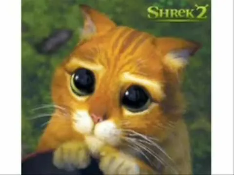 Gato Shrek MONO¡ - YouTube