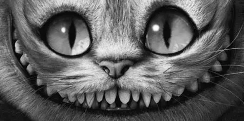 el gato sonriente - Buscar con Google | Decoración | Pinterest ...